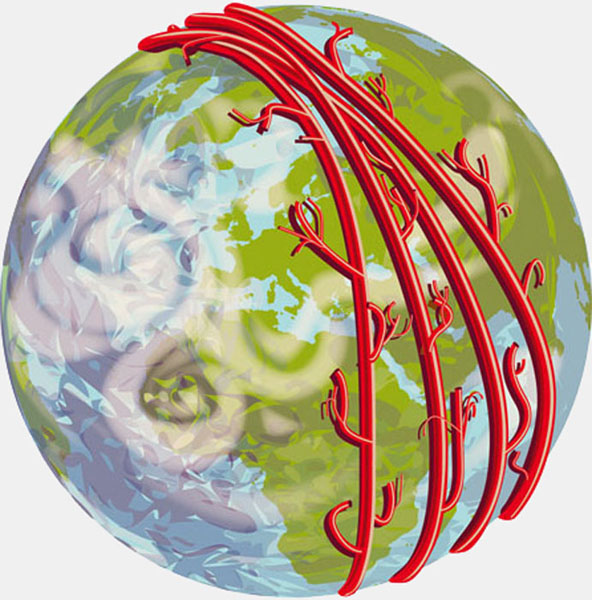 Blutgefässgesamtlänge (Migros Magazin)